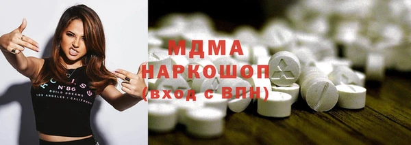 индика Новозыбков