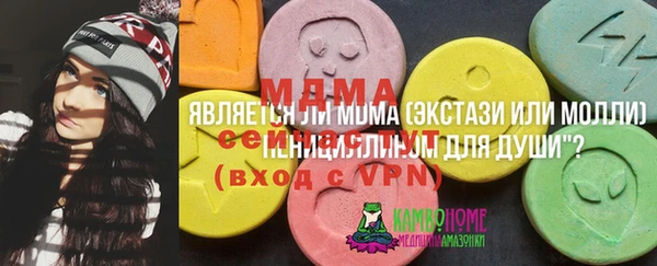 дмт Белокуриха