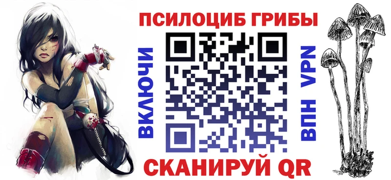 цена   Армавир  Псилоцибиновые грибы Psilocybe 